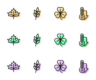 Clover, Kanada akçaağaç yaprağı, Yaprak ve Termometre simgesi. Vektör