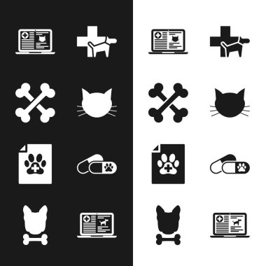 Kedi, çapraz kemikler, klinik kayıt kedi dizüstü bilgisayarı veteriner kliniği, köpek ve köpek için tıbbi sertifika ve ilaç ikonu. Vektör