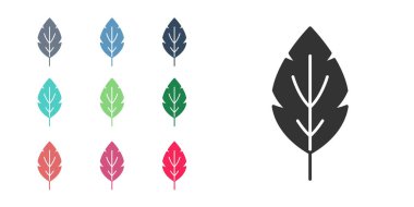 Beyaz arkaplanda siyah yaprak simgesi izole edildi. İşaret bırakıyor. Taze doğal ürün sembolü. Simgeleri renklendirin. Vektör