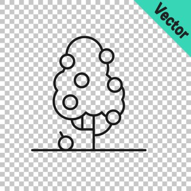 Şeffaf arkaplanda siyah çizgi meyve ağacı simgesi izole edildi. Tarım fabrikası. Organik tarım ürünü. Meyve bahçesi. Bahçe teması. Vektör