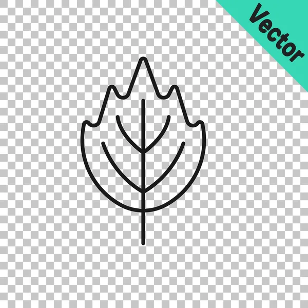 Black Line Leaf Icon Isolated Transparent Background Leaves Sign Fresh — Stock Vector