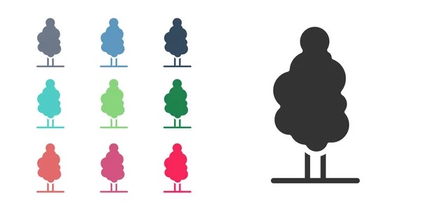 Ikona Černého stromu izolovaná na bílém pozadí. Symbol lesa. Nastavit barevné ikony. Vektor — Stockový vektor