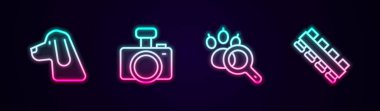 Avcı köpeği, fotoğraf makinesi, pati araması ve fişek kemeri ayarlayın. Parlayan neon ikonu. Vektör
