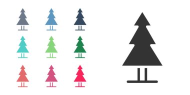 Siyah ağaç simgesi beyaz arkaplanda izole edildi. Orman sembolü. Simgeleri renklendirin. Vektör