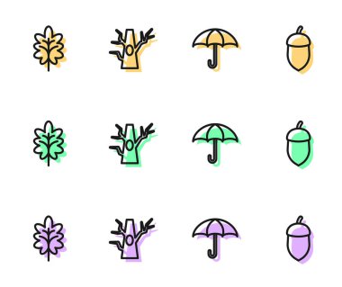 Sıra Şemsiye, Yaprak, Çıplak ağaç ve Meşe palamudu ikonu. Vektör