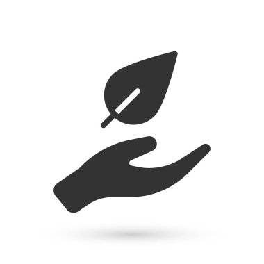 Gri El, beyaz arka planda izole edilmiş bitki simgesinin bir yaprağını tutuyor. Doğayı koru. Yaprak, çevre korumasıyla çekiliyor. Vektör