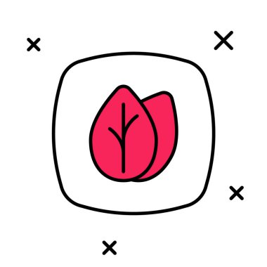 Doldurulmuş Yaprak simgesi beyaz arkaplanda izole edildi. İşaret bırakıyor. Taze doğal ürün sembolü. Vektör