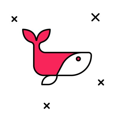 Doldurulmuş ana hatlı balina simgesi beyaz arkaplanda izole edildi. Vektör