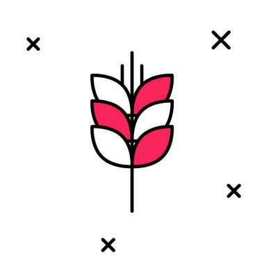 Pirinç, buğday, mısır, yulaf, çavdar ve beyaz arka planda izole edilmiş arpa ikonu ile kaplanmış mısır gevrekleri. Buğday ekmeği sembolleri. Vektör