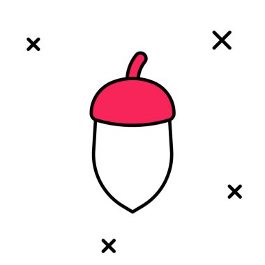 Doldurulmuş Meşe palamudu simgesi beyaz arkaplanda izole edilmiş. Vektör