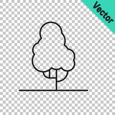 Şeffaf arkaplanda siyah çizgi meyve ağacı simgesi izole edildi. Tarım fabrikası. Organik tarım ürünü. Meyve bahçesi. Bahçe teması. Vektör