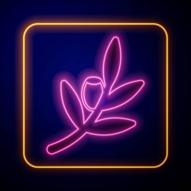 Parlayan neon zeytin dalı simgesi siyah arkaplanda izole edildi. Vektör
