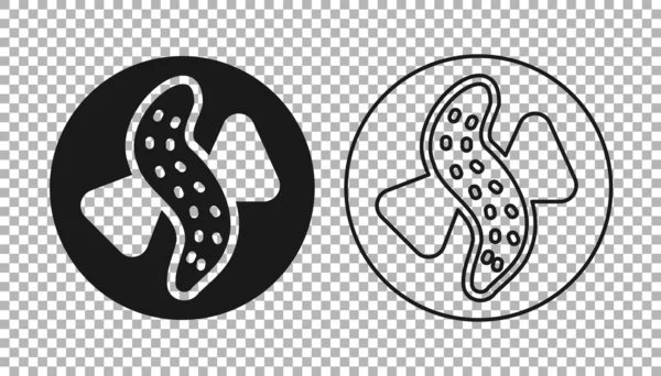Concombre noir servi sur une icône de plaque isolée sur fond transparent. De la nourriture marine. Vecteur — Image vectorielle