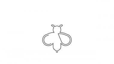 Siyah çizgi Kraliçe Arı simgesi beyaz arkaplanda izole edildi. Tatlı doğal yemek. Bal arısı ya da kanat sembollü apis. Uçan böcek. 4K Video hareketli grafik canlandırması