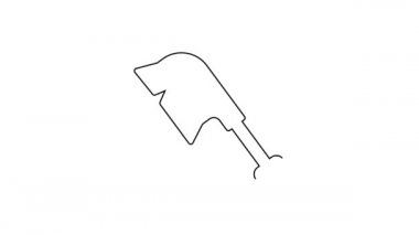 Temizlik simgesi için siyah çizgi fırçası beyaz arkaplanda izole edildi. Temizlik hizmeti konsepti. 4K Video hareketli grafik canlandırması