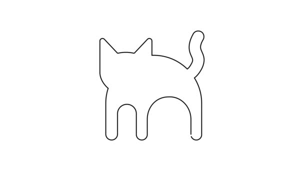 Black line Black cat icon isolated on white background. Happy Halloween party. 4K Video motion graphic animation — Stockvideo