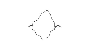 Siyah çizgi buzdağı simgesi beyaz arkaplanda izole edildi. 4K Video hareketli grafik canlandırması