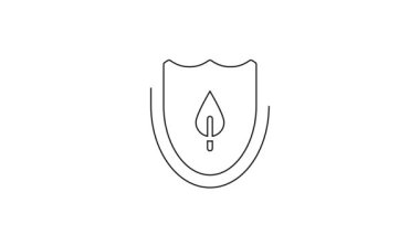 Beyaz arkaplanda yaprak simgesi olan siyah çizgi kalkanı. Yapraklı çevre dostu güvenlik kalkanı. 4K Video hareketli grafik canlandırması