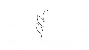 Siyah çizgi Yaprak simgesi beyaz arkaplanda izole edildi. İşaret bırakıyor. Taze doğal ürün sembolü. 4K Video hareketli grafik canlandırması