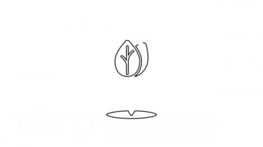Beyaz zemin üzerinde yaprak olan siyah çizgi konum broşu. İşaret bırakıyor. Taze doğal ürün sembolü. 4K Video hareketli grafik canlandırması