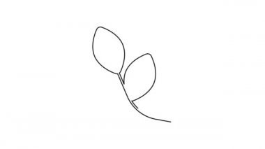 Siyah çizgi Yaprak simgesi beyaz arkaplanda izole edildi. İşaret bırakıyor. Taze doğal ürün sembolü. 4K Video hareketli grafik canlandırması