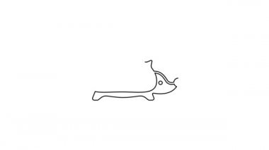 Siyah çizgili Kirpi simgesi beyaz arkaplanda izole edilmiş. Hayvan sembolü. 4K Video hareketli grafik canlandırması