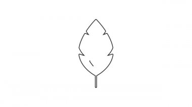 Siyah çizgi Yaprak simgesi beyaz arkaplanda izole edildi. İşaret bırakıyor. Taze doğal ürün sembolü. 4K Video hareketli grafik canlandırması
