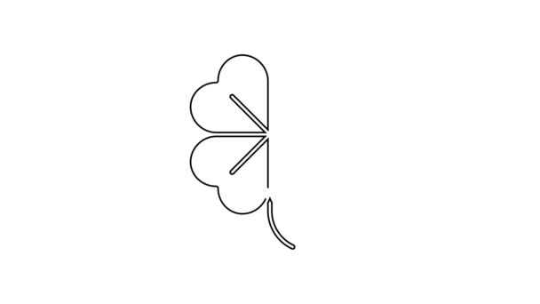 Black line Four leaf clover icon isolated on white background. Happy Saint Patrick day. 4K Video motion graphic animation — Stock Video