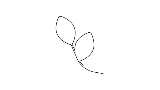 Черная линия Листа значок изолирован на белом фоне. Знак "листья". Символ свежего натурального продукта. Видеографическая анимация 4K — стоковое видео