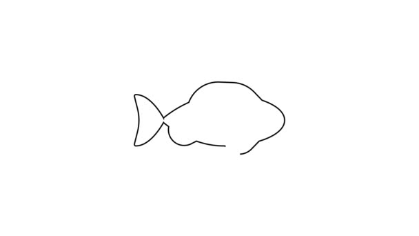 Línea negra Icono de pescado aislado sobre fondo blanco. Animación gráfica de vídeo 4K — Vídeo de stock