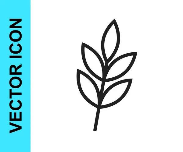 Black line Leaf Symbol isoliert auf weißem Hintergrund. Laubblätter winken. Symbol für frisches Naturprodukt. Vektor — Stockvektor