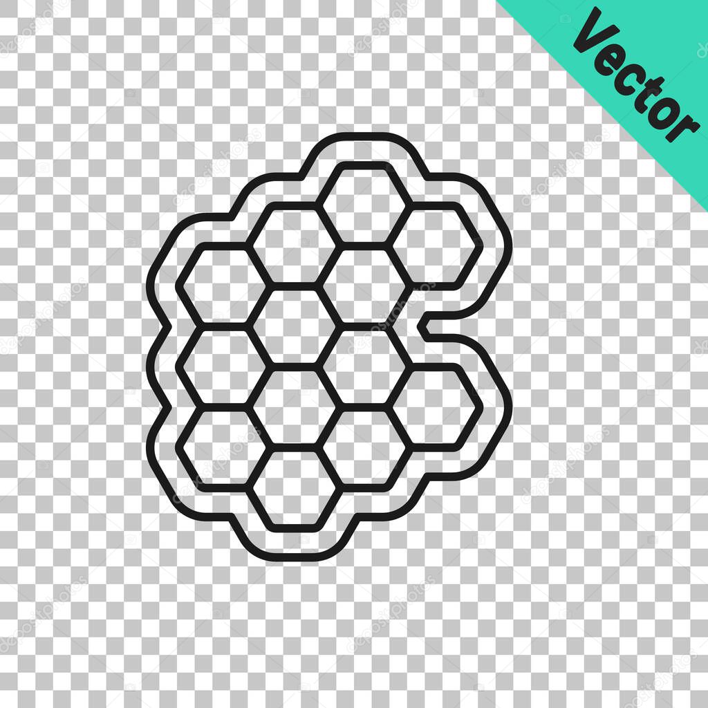 Black line Honeycomb icon isolated on transparent background. Honey cells symbol. Sweet natural food. Vector