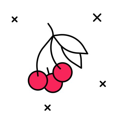 Doldurulmuş Taze Yaz Böğürtlenleri simgesi beyaz arka planda izole. Böğürtlen. Vektör.