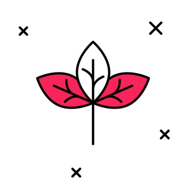 Doldurulmuş Yaprak simgesi beyaz arkaplanda izole edildi. İşaret bırakıyor. Taze doğal ürün sembolü. Vektör