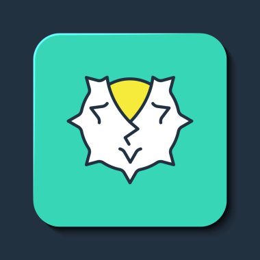 Filled outline Chestnut icon isolated on blue background. Barbed and strong chestnut. Turquoise square button. Vector