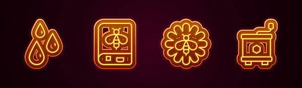 Set line Drops of honey, Book about bee, Bee flower and Honey extractor. Glowing neon icon. Vector — Wektor stockowy