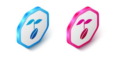 Beyaz zemin üzerinde izole kahve çekirdeği ikonu. Altıgen düğmesi. Vektör