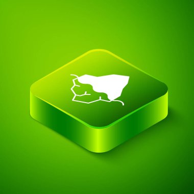 Isometric Iceberg simgesi yeşil arkaplanda izole edildi. Yeşil kare düğmesi. Vektör