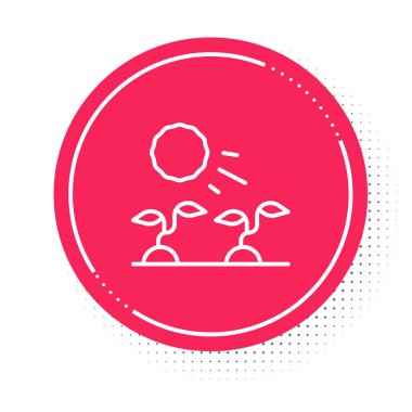 Beyaz çizgili bitki filizleri beyaz arka planda izole edilmiş güneş ikonunda yetişir. Tohumlama konsepti. Kırmızı daire düğmesi. Vektör