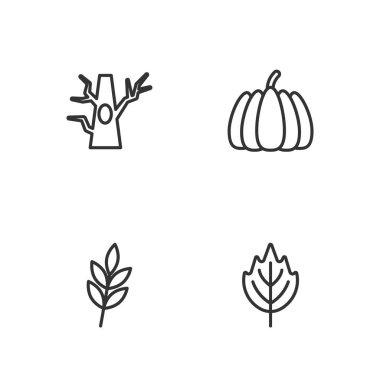 Sıra halinde Yaprak, Çıplak Ağaç ve Balkabağı ikonu. Vektör