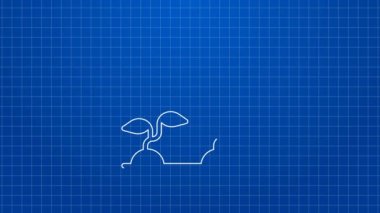 Beyaz çizgili bitki filizleri, mavi arka planda izole edilmiş güneş ikonunda yetişir. Tohumlama konsepti. 4K Video hareketli grafik canlandırması