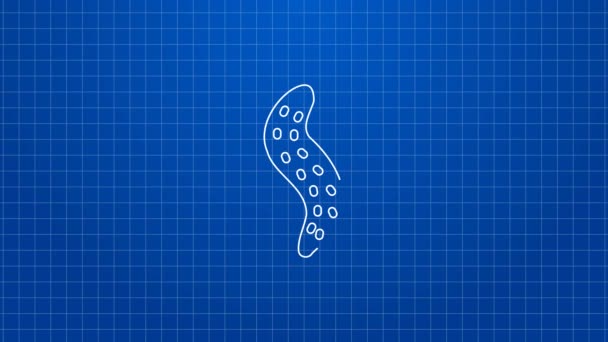 Witte lijn Komkommer geserveerd op een pictogram op een bord geïsoleerd op een blauwe achtergrond. Maritiem voedsel. 4K Video motion grafische animatie — Stockvideo
