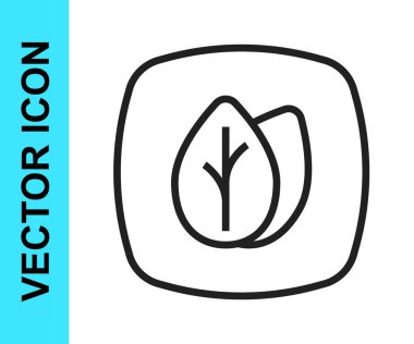 Siyah çizgi Yaprak simgesi beyaz arkaplanda izole edildi. İşaret bırakıyor. Taze doğal ürün sembolü. Vektör