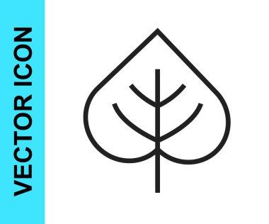 Siyah çizgi Yaprak simgesi beyaz arkaplanda izole edildi. İşaret bırakıyor. Taze doğal ürün sembolü. Vektör