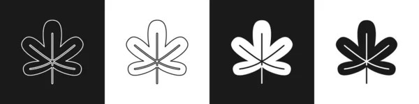 Set Icono de hoja de castaño aislado sobre fondo blanco y negro. Vector — Archivo Imágenes Vectoriales