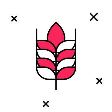 Pirinç, buğday, mısır, yulaf, çavdar ve beyaz arka planda izole edilmiş arpa ikonu ile kaplanmış mısır gevrekleri. Buğday ekmeği sembolleri. Vektör.