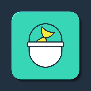 Mavi arka planda izole edilmiş balık ikonu içeren ana hatlı bir balık kovası. Kovadaki balık. Turkuaz kare düğme. Vektör