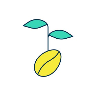 Beyaz arka planda izole edilmiş kahve çekirdeği ikonu. Vektör