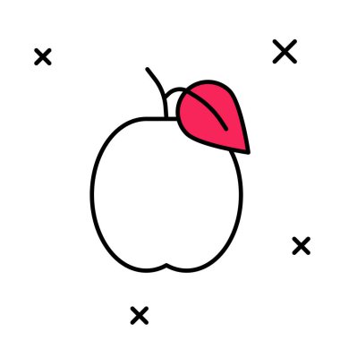 Beyaz arkaplanda izole edilmiş ana hatlı erik meyvesi simgesi. Vektör