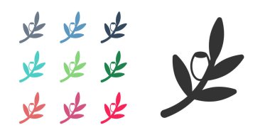 Beyaz arkaplanda siyah zeytin dalı simgesi izole edildi. Simgeleri renklendirin. Vektör.